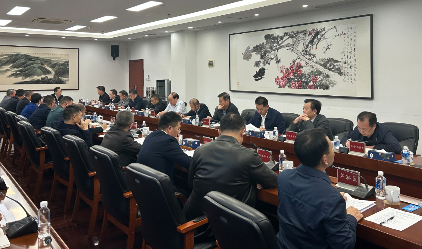 毛朝晖主持召开2025湖南低空产业博览会第二次调度会
